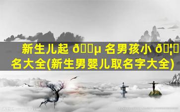 新生儿起 🐵 名男孩小 🦋 名大全(新生男婴儿取名字大全)
